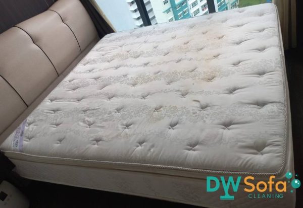 mattress-cleaning-services-dw-sofa-cleaning-singapore-condo-yishun-1