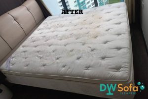 mattress-cleaning-services-dw-sofa-cleaning-singapore-condo-yishun-6