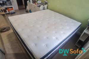 sofa-cleaning-services-dw-sofa-cleaning-singapore-condo-alexandra-3