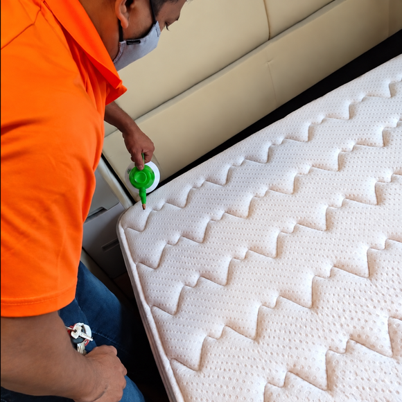 Bed Bug Pest Control 6 step-2-shampooing