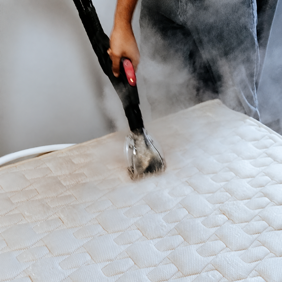 Bed Bug Pest Control 8 step-4-170c-steaming